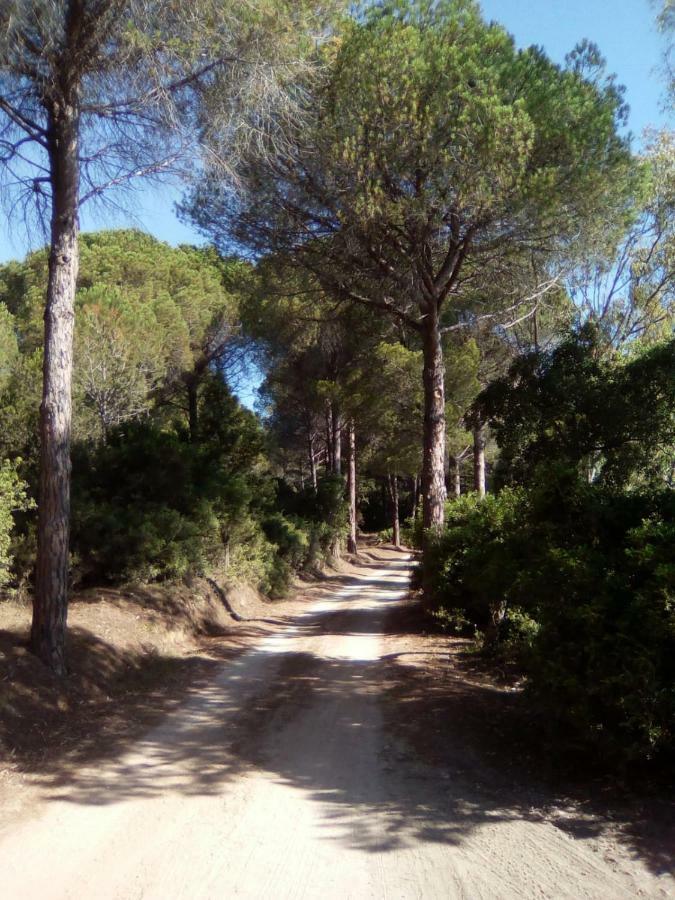 Appartamento Vacanze Sardegna Siniscola Exteriér fotografie